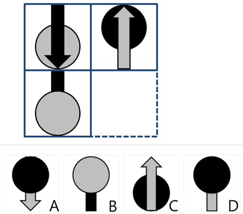 figure Matrices