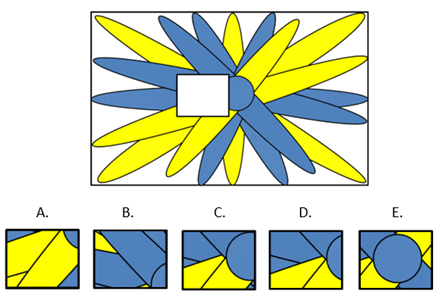 Nnat D Patteren Completion Question